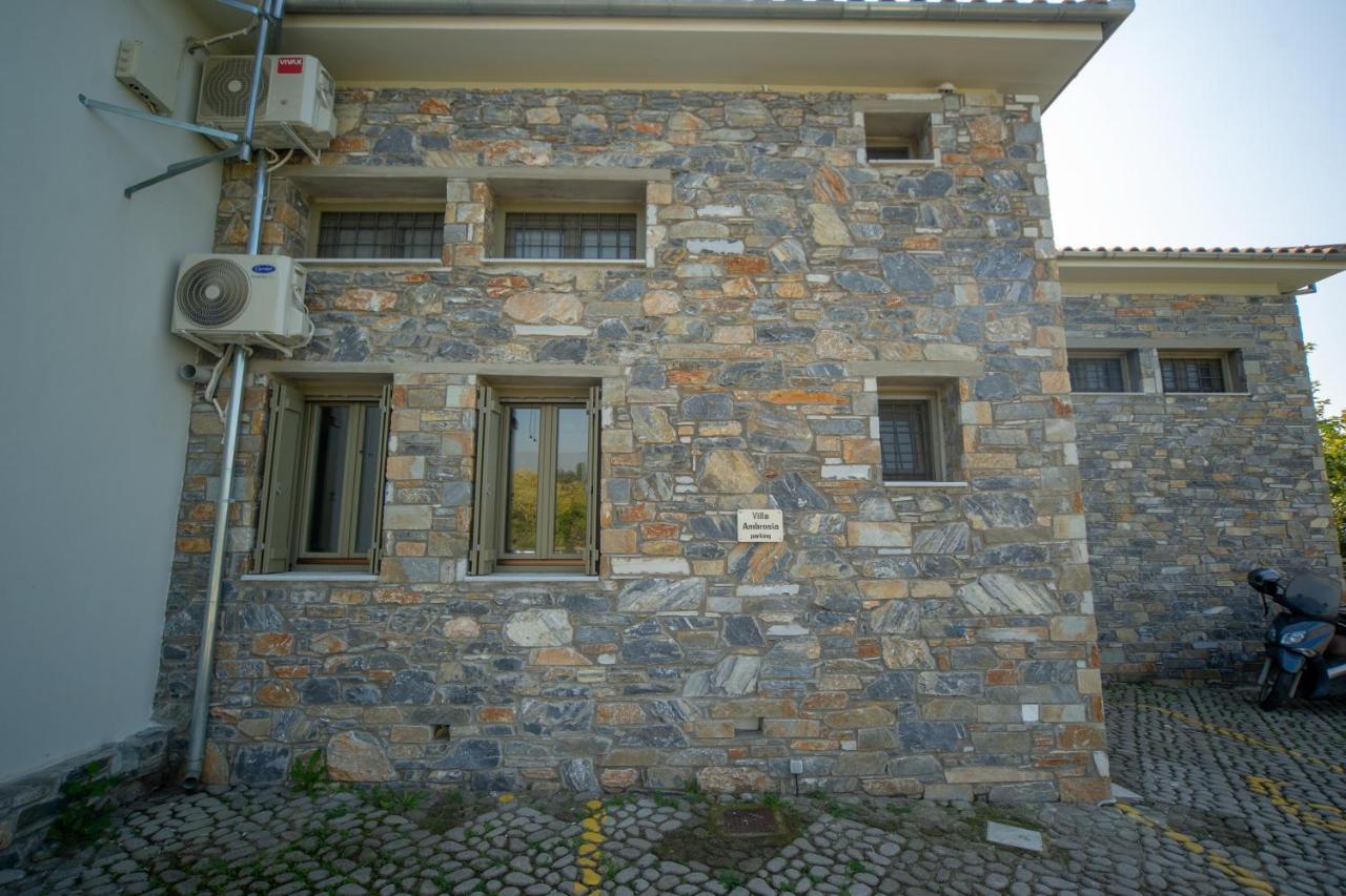 Villa Ambrosia, Beach House, Platanidia, Pelion Exterior photo